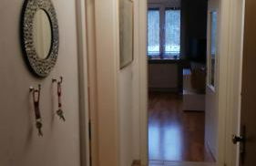 Walhalla-Apartment - Highspeed WLAN - Netflix - Südbalkon - Foto 15