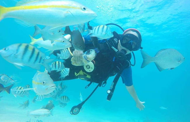 Mergulho na Isla Catalina - Foto 8