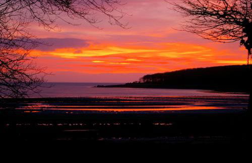 Orchard Cottage - Uk12525 - Foto 19