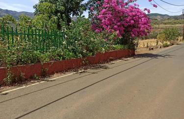 Mar de flores - Foto 15