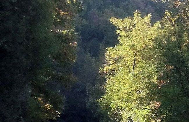 Three Bedroom House With Garden Only 10 km From Veliko Tarnovo - Foto 21