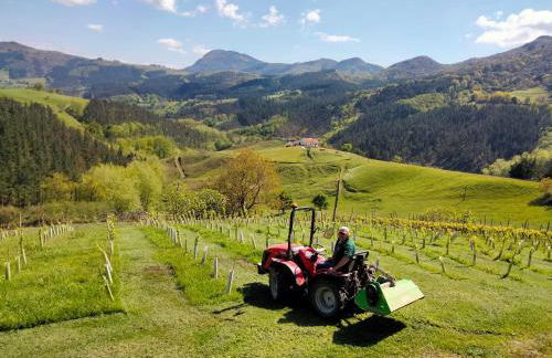 Agroturismo Erlete Goikoa -ESTAMOS EN EL CAMINO DE SANTIAGO -WE ARE ON THE CAMINO DE SANTIAGO- SENDERISMO-RUTAS Y BICICLETA - Photo 10