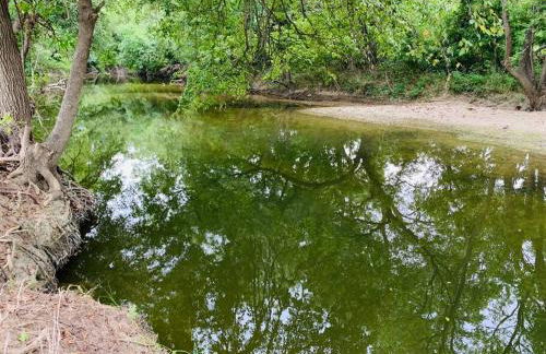 Five Acre Waterfront Retreat - Foto 40