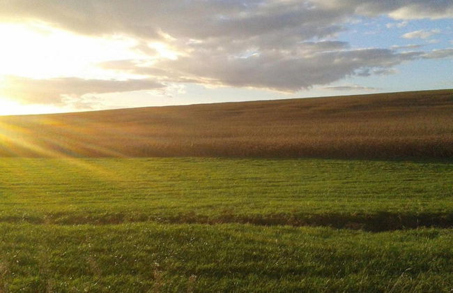 Stylish Stay in Central Sedan - Photo 42