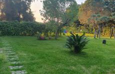 Casa Vacanze Oasi Felicita - Foto 69