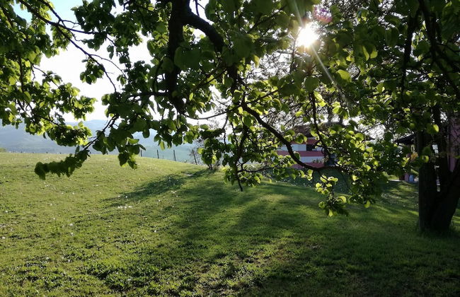 Agriturismo Morattina - Foto 32