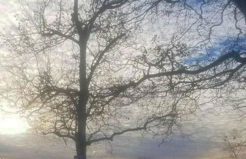 Historic district water viewprivate parking 3 cars - Foto 45