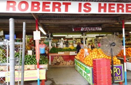 La casita tropical - Foto 18