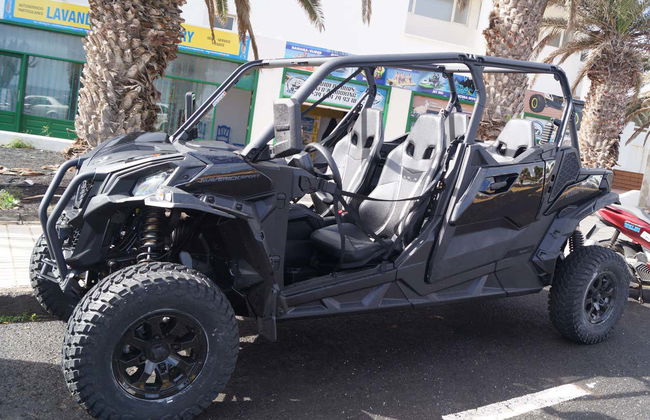Tour in buggy e trekking nel Parco Naturale Los Volcanes - Foto 2