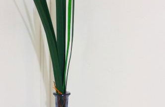 Suite Peretola Airport + Park - Foto 25