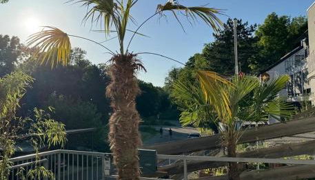 Gehobenes Apartment mit Charme - Foto 3