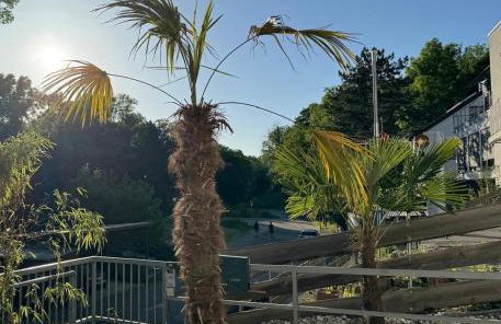 Gehobenes Apartment mit Charme - Foto 3