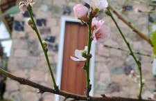 Oforasteiro - Foto 6