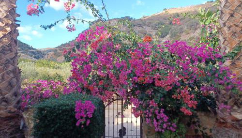 Heraklion Comfy House with Mountain View - Foto 4