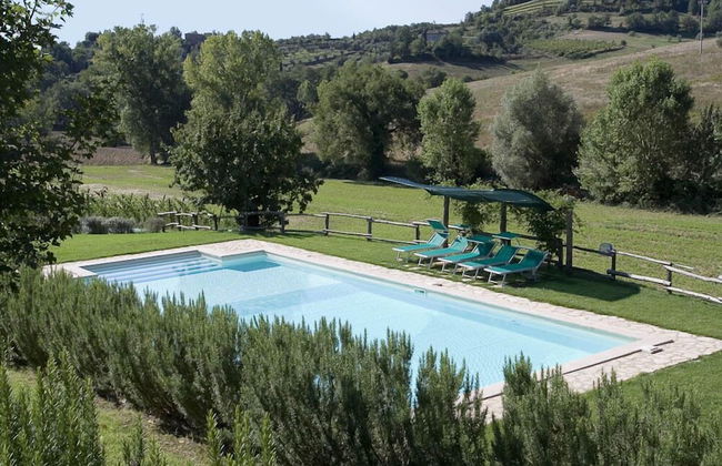 Verdidea - Podere della Bruciata - Foto 64