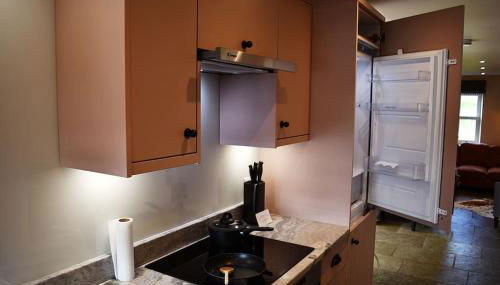 Luxury Self-Catering Apartment - Foto 4, stove, dishwasher, pet friendly