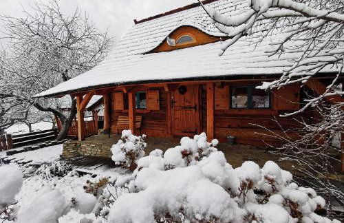 Jabłoniowa Chatka - Foto 10