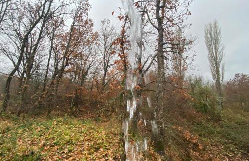 Arnaia Forest Villa - Photo 44