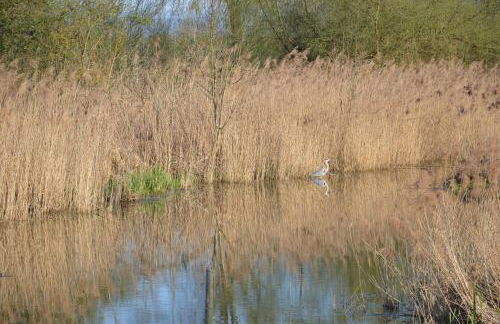 Ferienwohnungen Am Brunnen - Nähe Europapark, W-LAN, Klimaanlage - Foto 24