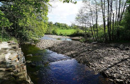 The Riverside Tailor's Retreat at Wray - Foto 50