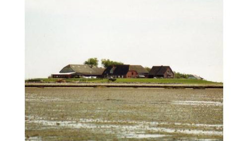 Friesenblau im Haus Schladenhaufen - Foto 4