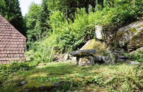 Waldbauernhof - Photo 67