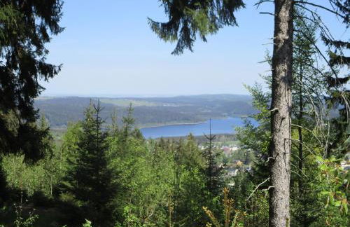 Ferienwohnung "Waldesruh" - Foto 10