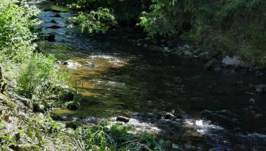 Charmant logis dans une construction de caractère - Photo 4