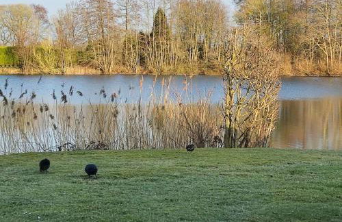 Apartment Landromantik mit traumhaftem Seeblick by Interhome - Foto 24