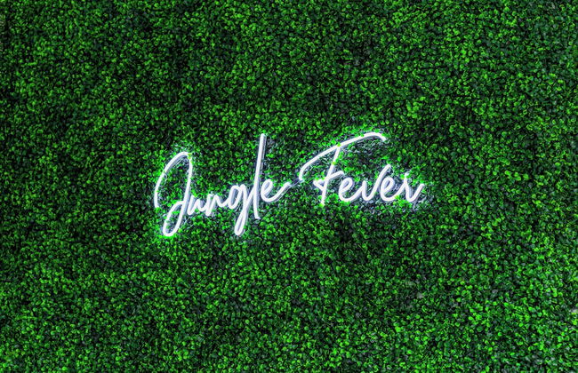 Jungle House Luxury Stays - Downtown Columbus & Short North - Foto 41