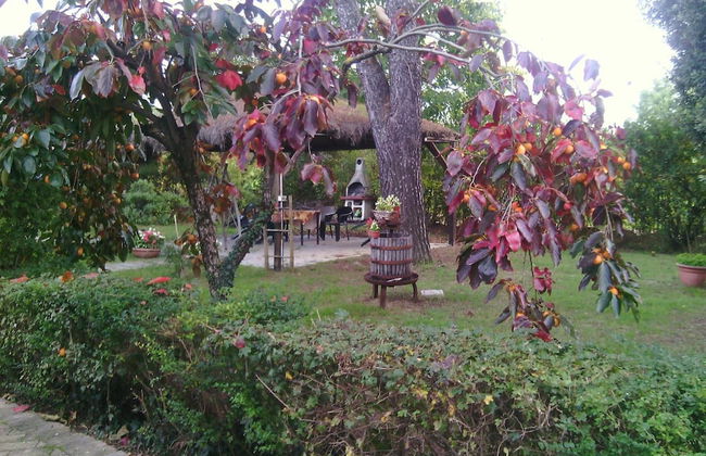 Artisti del Cavallo Tourism - Foto 24