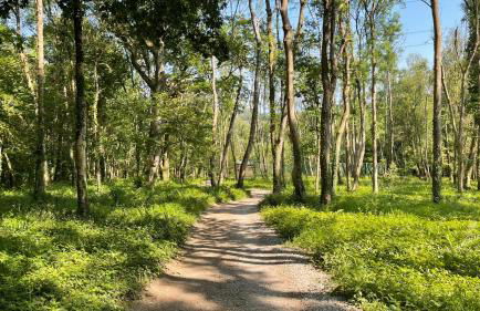 Lodge Nine for 6 with Hot Tub - Spa Resort in Devon - Foto 53