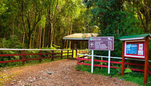 Senderismo por el Parque Nacional Alerce Andino - Foto 2