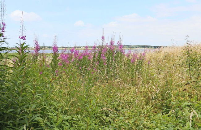 4 Star Holiday Home in Varberg - Foto 17