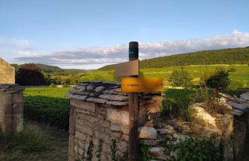 Le Clos du Château - Foto 35