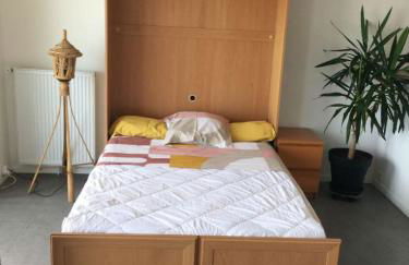 Anglet sables d'or - vue océan - Foto 20