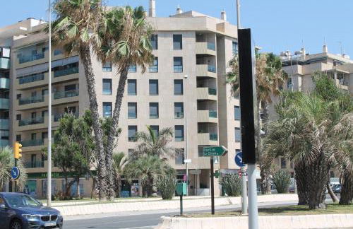 PACIFICO 18 - Photo 71