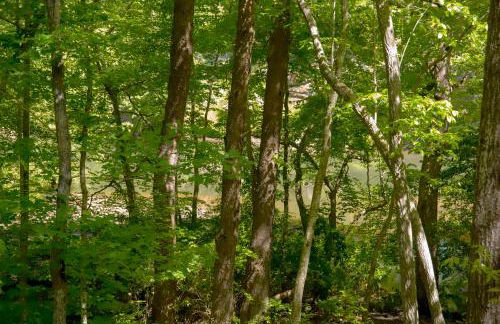 Riverfront Home - Kayak & Fishing - 6 mins Mentone - Photo 41