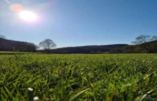 Delightful Holiday Home in Battenberg Near Forest - Foto 77