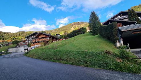Les Chalets du Petit Châtel - Foto 3