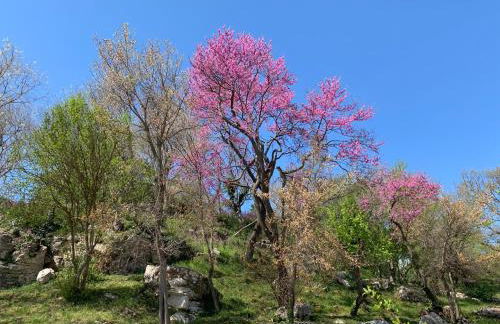 Il Nido del Falco nelle Antiche Mura - Foto 25
