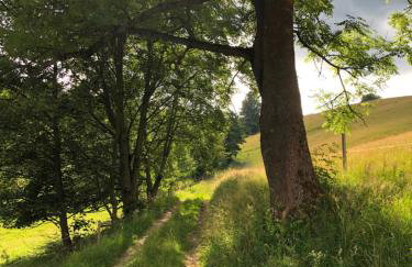 Sowia Enklawa - Foto 36