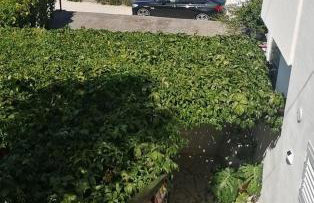 Apartman Antea - Foto 44