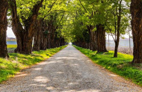 AGRITURISMO LE CORTI DELLA GUALDANA - Foto 5