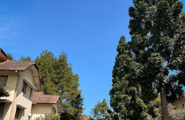 Puri Setiabudhi Residence - Photo 39