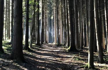 Wanderlust Chiemgau - Foto 33