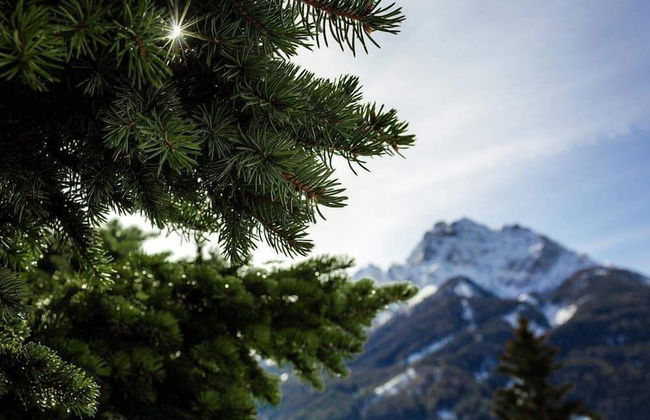 Apartment Belvedere 43 - Photo 1