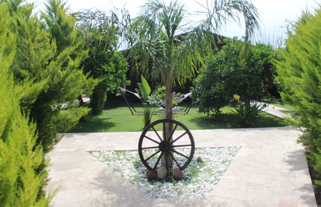 Cirali Villas Hotel Pansiyon - Foto 42