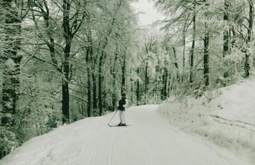 YALET Ferienhaus 2 appartementen vlakbij Willingen - Foto 42