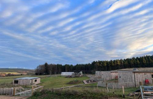 Primrose Straw Bale Cabin - Foto 9